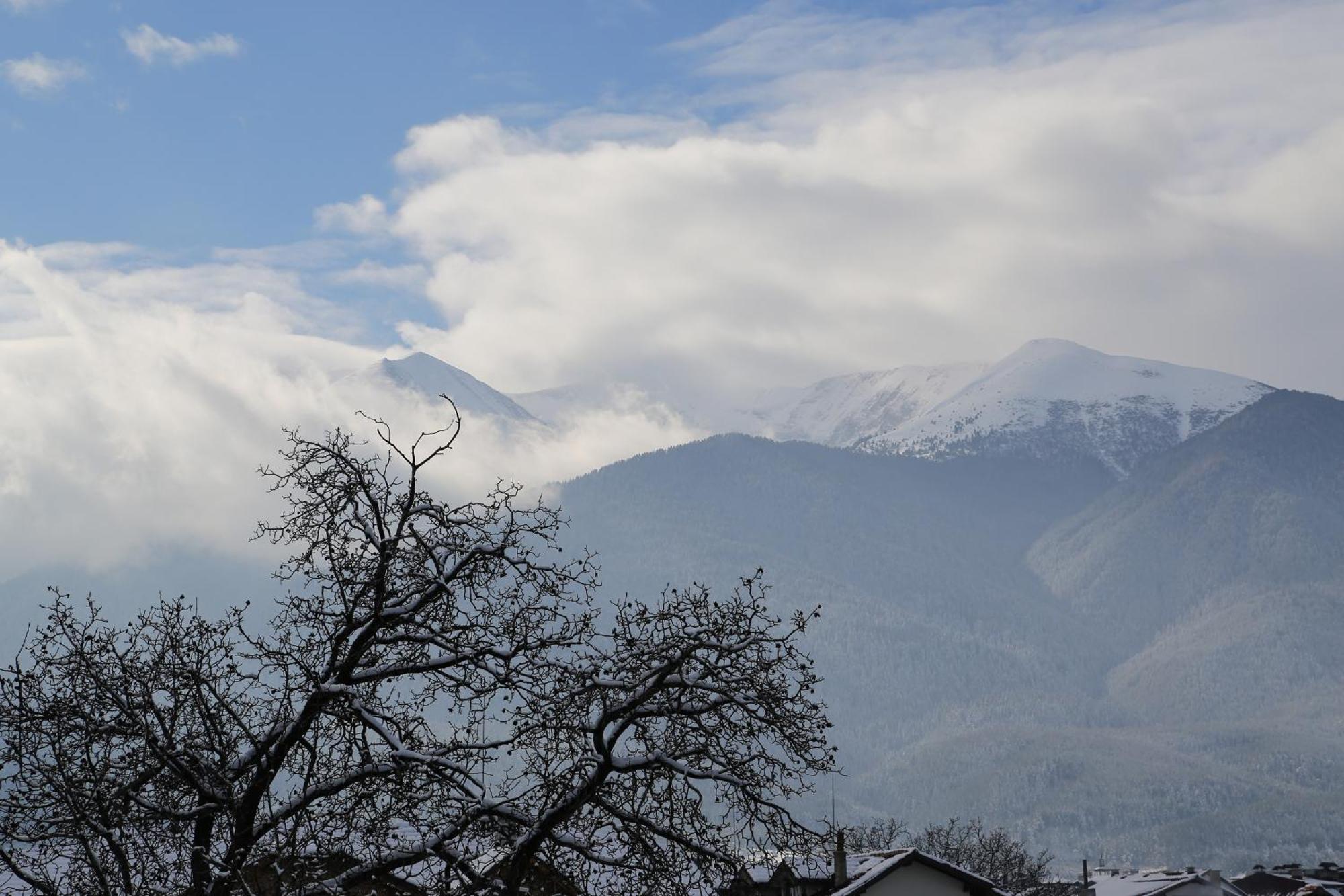 Family Hotel Bisser Bansko Exterior photo