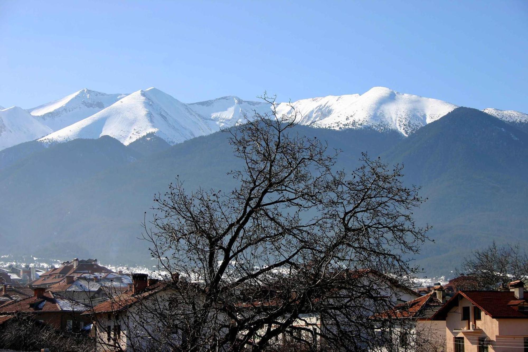 Family Hotel Bisser Bansko Exterior photo