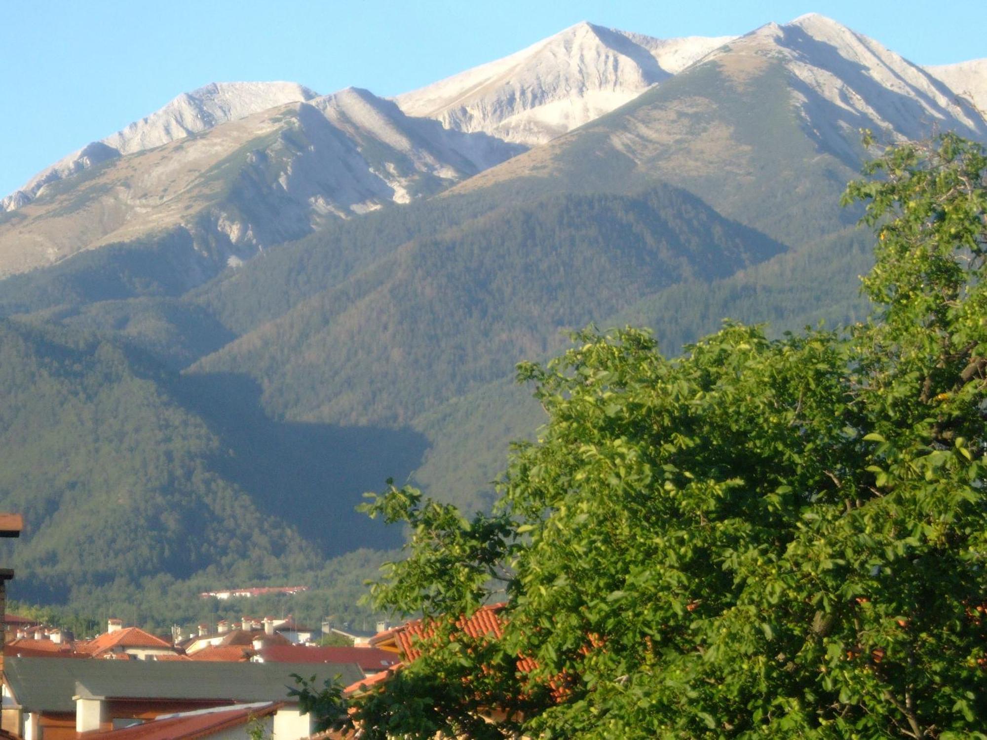 Family Hotel Bisser Bansko Exterior photo